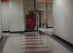 WhatsApp Image 2024-05-29 at 07.34.39